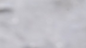 Crédito: Kriger Olga/Canva