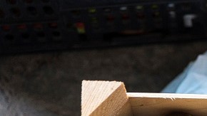 Mushroom flea market of Cardona in Catalonia, Spain