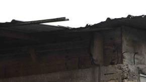 La encuesta consideró un período de cinco años para analizar los datos.