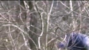 Bomberos en el rescate