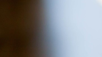 Los cambios en la temperatura y la lluvia afectan la bioquímica del lúpulo.