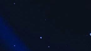 La Navidad llegó al mundo de Harry Potter.