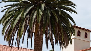 Alcaldía de la ciudad de Chula Vista, certificada como "ciudad de bienvenida".