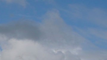 Puedes decidir adquirir un producto sólo por su color.