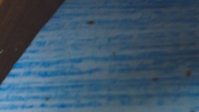 Crédito: Kkolsov/Canva