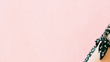 Primero, debes preguntarte si te gustan tanto los animales como para no molestarte lidiar con ellos.