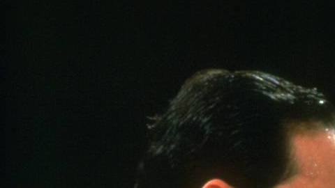 Freddie Mercury