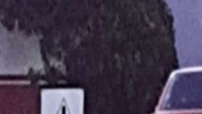 El Mencho y el Marro acribillan a 11 personas, 6 de ellos ya murieron