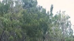 En Triángulo del Huachicol hallan fosa clandestina con unos 10 cadáveres