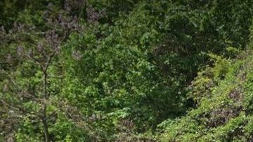 Tragedia en estación 190 St