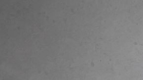 Muchos se aprovechan de tus buenas intenciones para quitarte tu dinero en estas fechas.