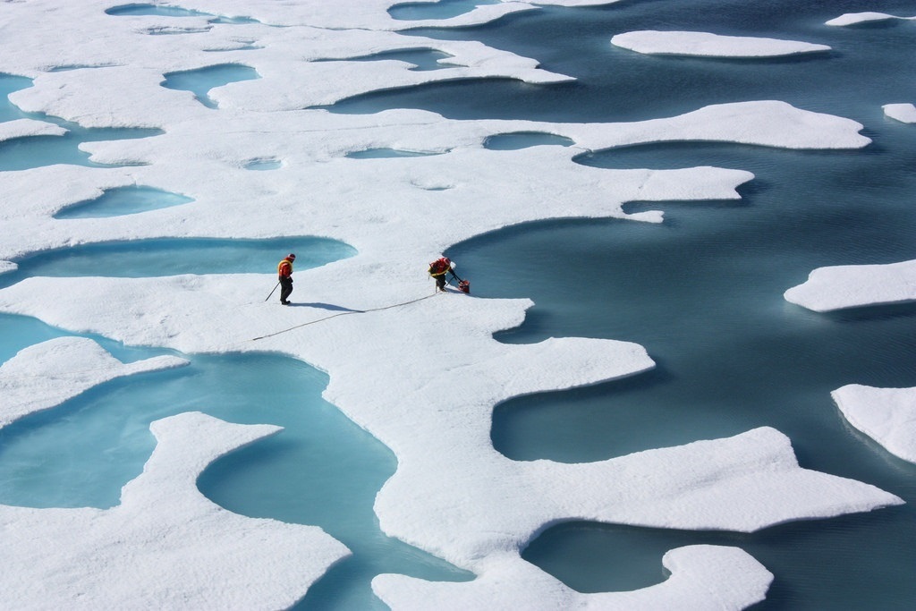 Cuál es el futuro de las regiones polares en un planeta más cálido? - La  Opinión
