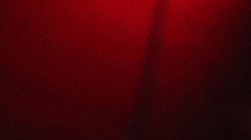 Teófimo López, nueva estrella del boxeo.