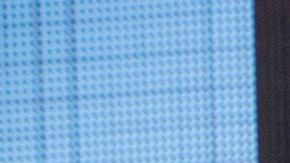 Patrulla Fronteriza asilo