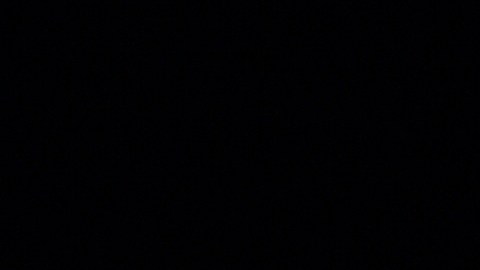 Greta cumplirá 17 años en próximos días.