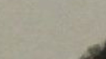 Los jóvenes aprovecharon una pelea para escaparse.