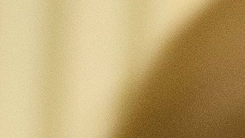 El presidente Trump le regaló "una hermosa tarjeta" a su esposa.