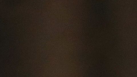 Ivanka Trump indica que su prioridad son sus hijos.