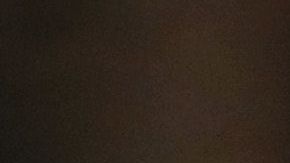 La primera hija Ivanka Trump.