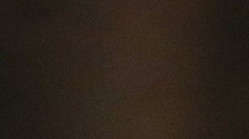 La primera hija Ivanka Trump.