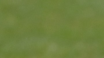 Es el juego más esperado de la NCAA.