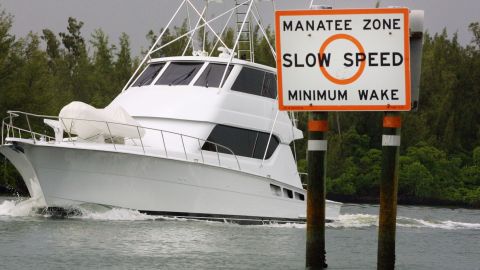 Un bote pasa una zona  de menor velocidad para proteger a manatíes.