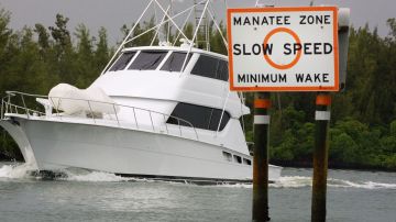 Un bote pasa una zona  de menor velocidad para proteger a manatíes.