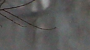 El fenómeno meteorológico llega también a Nueva York.