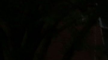 NYPD busca a la agresora