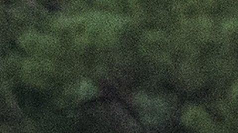 Los Obama cuando visitaban Martha's Vineyard.