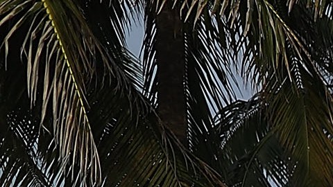 Perman Terry tiene 59 años y lleva más de 35 trabajando para la ciudad de Miami Beach.