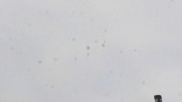 Auto de Policía de Chicago.