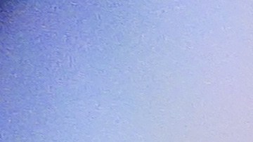 Los celulares de dichas empresas son seguros de usar.