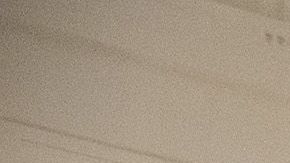 En 2018, la Primera Dama fue criticada por el "bosque blanco".