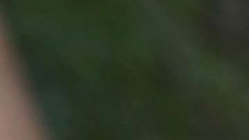 La Patrulla Fronteriza reporta que ha detenido a más de 33,000 mexicanos.