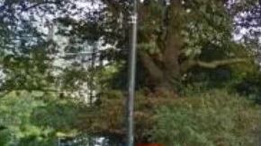 Creyó que había visto mal pero un amigo también se encontró con lo mismo.