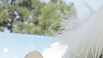 El hombre juntó el dinero a través de donaciones que hizo la comunidad. (Imagen sólo con fines ilustrativos).