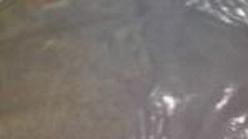 Hallan descuartizados a 2, autodefensas hartos del CJNG se adjudican en crimen