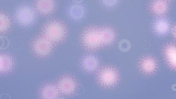 Feliz Año Nuevo 2020.