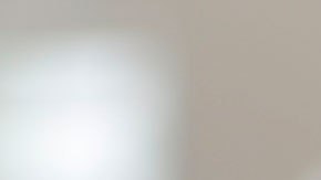 Los márgenes de ganancias podrían ser bastante atractivos.