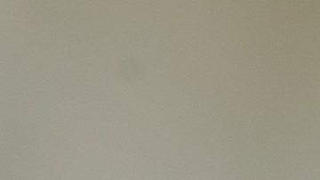 Si encuentra una hormiga, es seguro que tendrá toda una colonia cerca.