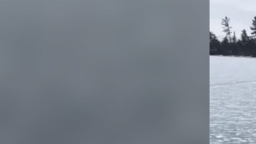 Con una cuerda consiguió sacar a los ciervos del hielo.