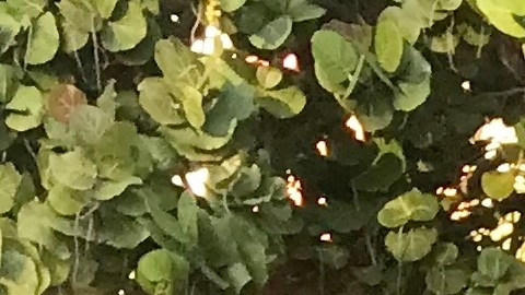 Los comentaristas de Telemundo Deportes, Ana Jurka, Andres Cantor y Manuel Sol, en el evento celebrado este fin de semana en Miami Beach.