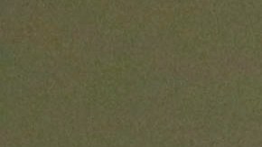 Maria Sharapova tuvo momentos de esparcimiento previos a su participación en el torneo de Abu Dhabi.