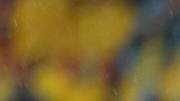 Escoboza, el primer refuerzo del América.