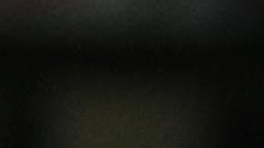 Reinoso es uno de los más grandes referentes del América.