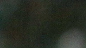 José Juan Vázquez fue campeón con Chivas en el Apertura 2017.