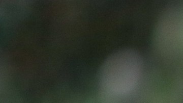 José Juan Vázquez cumpliría una segunda etapa con el 'rebaño'.