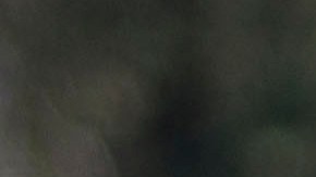 Norma reforzará a Chivas para el Clausura 2020.