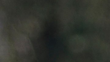 Norma reforzará a Chivas para el Clausura 2020.